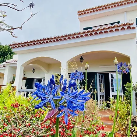 فيلة Paraiso - Traumgarten, Meerblick, Wandern Und Golf فونشال